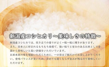 有機栽培米新潟産コシヒカリ5kg　毎月3回連続でお届けします。 米 お米 こめ コメ ごはん 新潟 白米 コシヒカリ ブランド米 銘柄米 お取り寄せ 産地直送