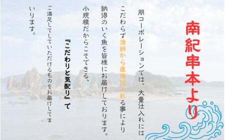和歌山県産 天然 キハダマグロ 約1kg / まぐろ 鮪 キハダマグロ 海鮮 魚貝 魚　【tcr003B】