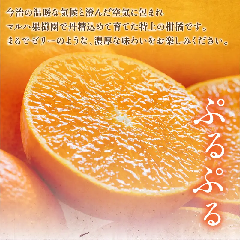 【先行予約】マルハ果樹園 プレミアムまどんな（家庭用）2L～M 12～16玉