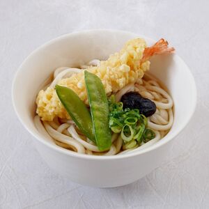 うどんセット さぬき小豆島 手延冷凍調理 3種 うどんセット【6食 カレー・えび天・牛肉各2】【冷凍】