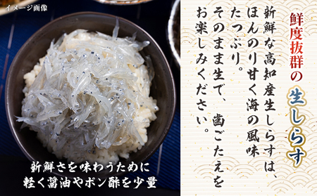 生 しらす(どろめ) 100g×5袋 しらす nz-0092