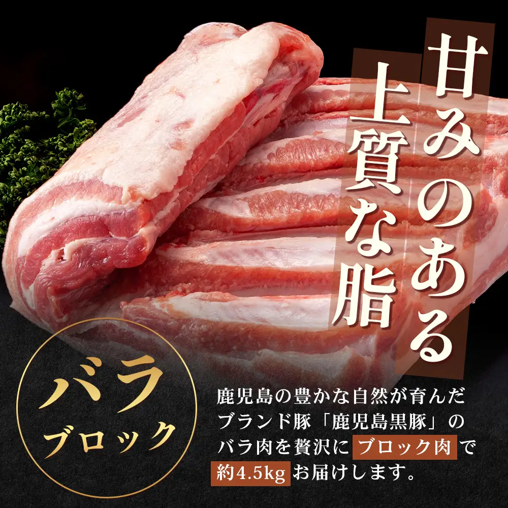 ≪全3回≫【南大隅町限定】食べ応え満点！ ★ かごしま黒豚 ブロック肉 定期便 ★ 鹿児島県産 NS-26 ｜ 肉 豚肉 ぶた 豚 ブタ 黒豚 鹿児島黒豚 ロース ブロック バラ 肩ロース バラブロック 肩ロースブロック ファミリー 業務用 産地直送 限定 鹿児島県 南大隅町 南州農場