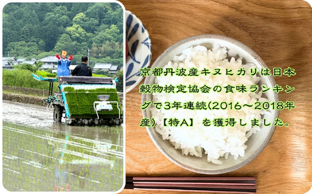 定期便 令和8年産 新米 京都丹波産 キヌヒカリ 5kg×6回 計30kg 白米 精米