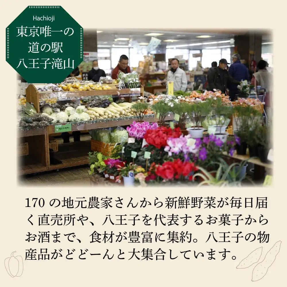 【３か月定期便】東京唯一の道の駅八王子滝山から、新鮮野菜のセットをお届け