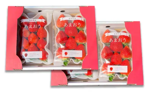 いちごの王様 あまおう 約260g×4パック 約1040g【2027年3月上旬-4月上旬発送予定】 いちご イチゴ 苺 フルーツ