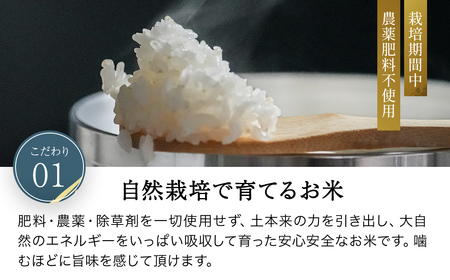 令和8年産先行予約 やくの自然栽培米 コシヒカリ 精米 5kg ゆたか（ゆたか自然農園）