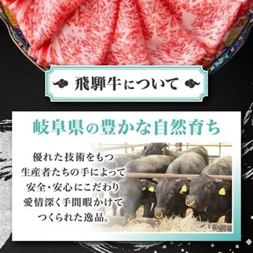 飛騨牛【白銀ロース】すき焼き・しゃぶしゃぶ用500g【配送不可地域：離島】【1681895】