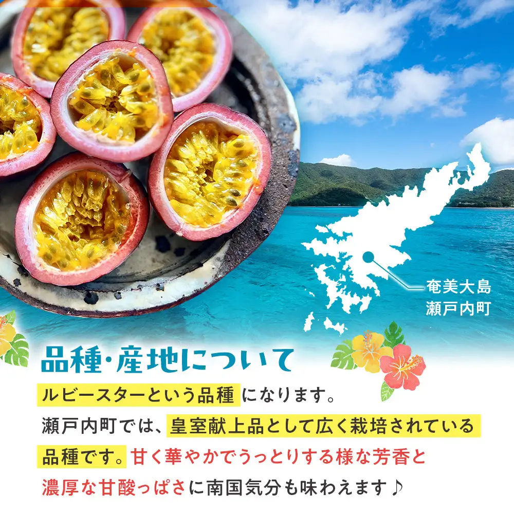 2027年発送 奄美大島産のパッションフルーツ 大玉 12個入り 約1kg 先行予約