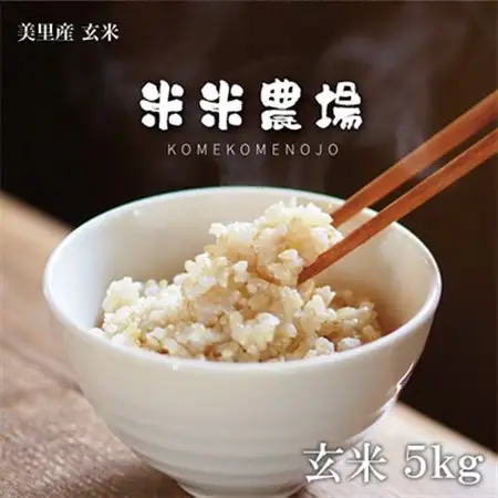 【令和7年産】熊本県美里町のお米ヒノヒカリ玄米 5kg×1袋【1681367】