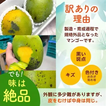 【2027年8月中旬から順次発送・訳あり】JAおきなわ厳選した幻のキーツマンゴー2kg(2～3玉)【配送不可地域：離島】【1681780】