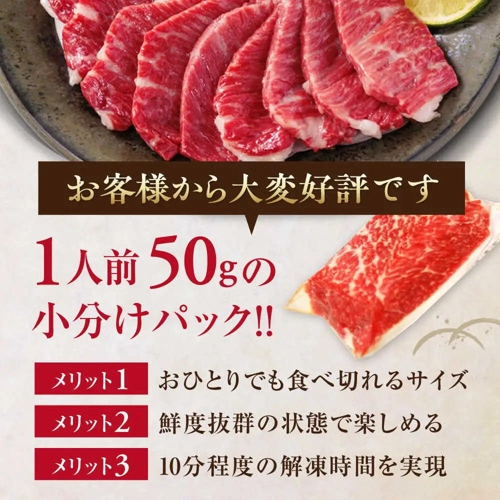 令和8年熊本地震復興支援 国産 霜降り馬刺し2種セット 約500g 馬刺し[AYBP005]