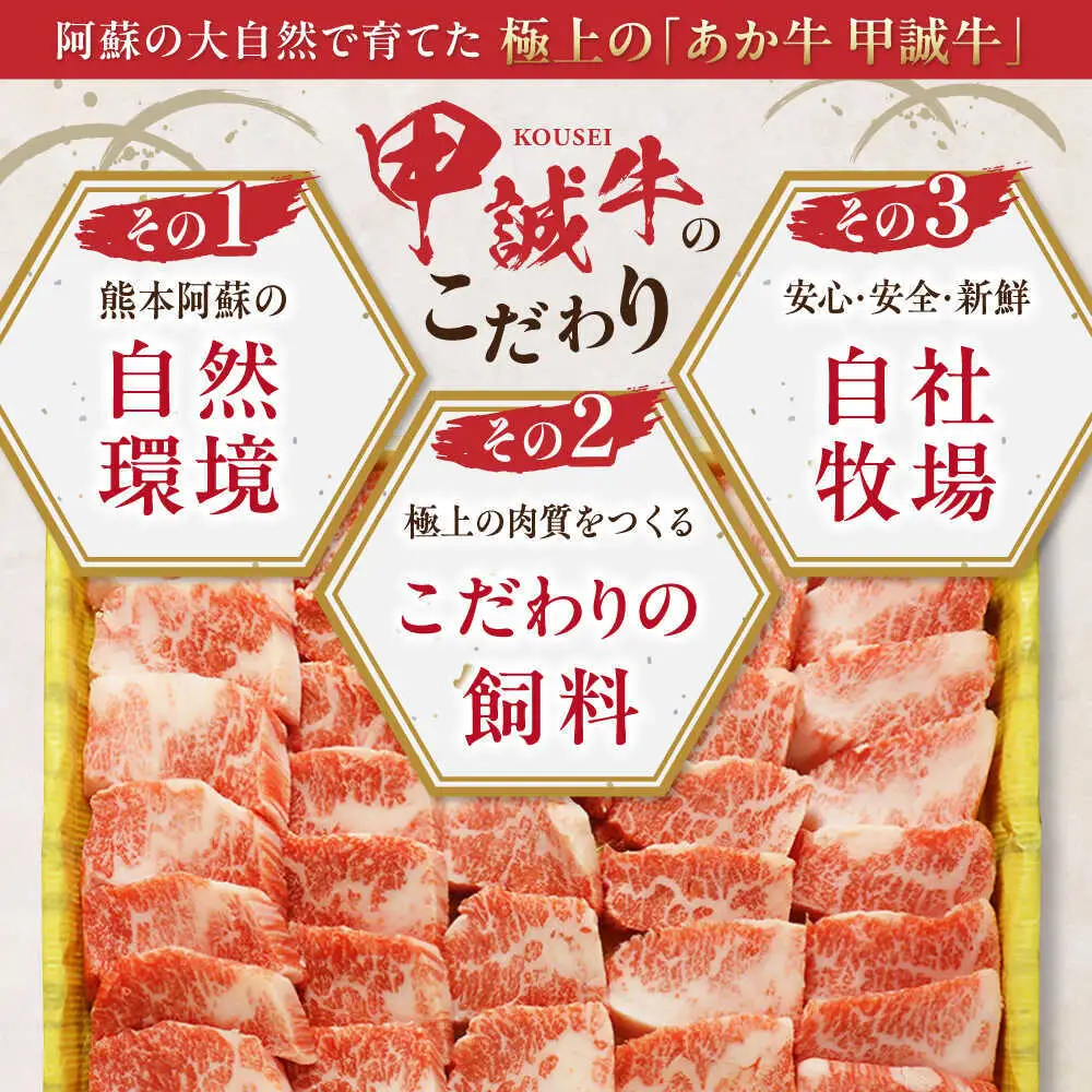あか牛カルビ焼肉セット 約800g あか牛カルビ焼肉[AYCQ051]