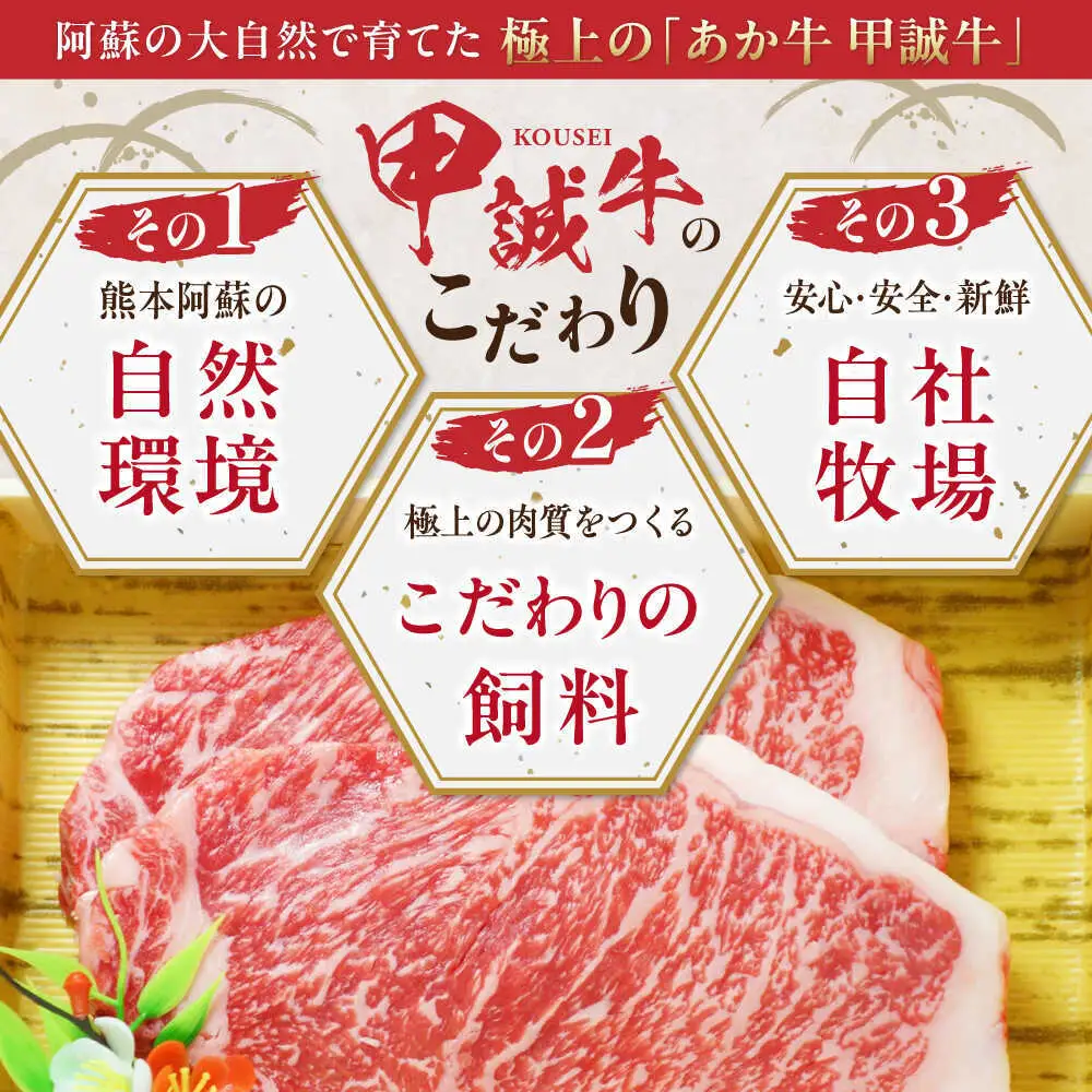 あか牛サーロインステーキ 約200g×2枚 あか牛サーロインステーキ[AYCQ055]