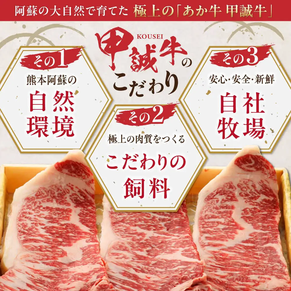 【全6回定期便】あか牛サーロインステーキ 約200g×3枚 あか牛サーロインステーキ[AYCQ061]