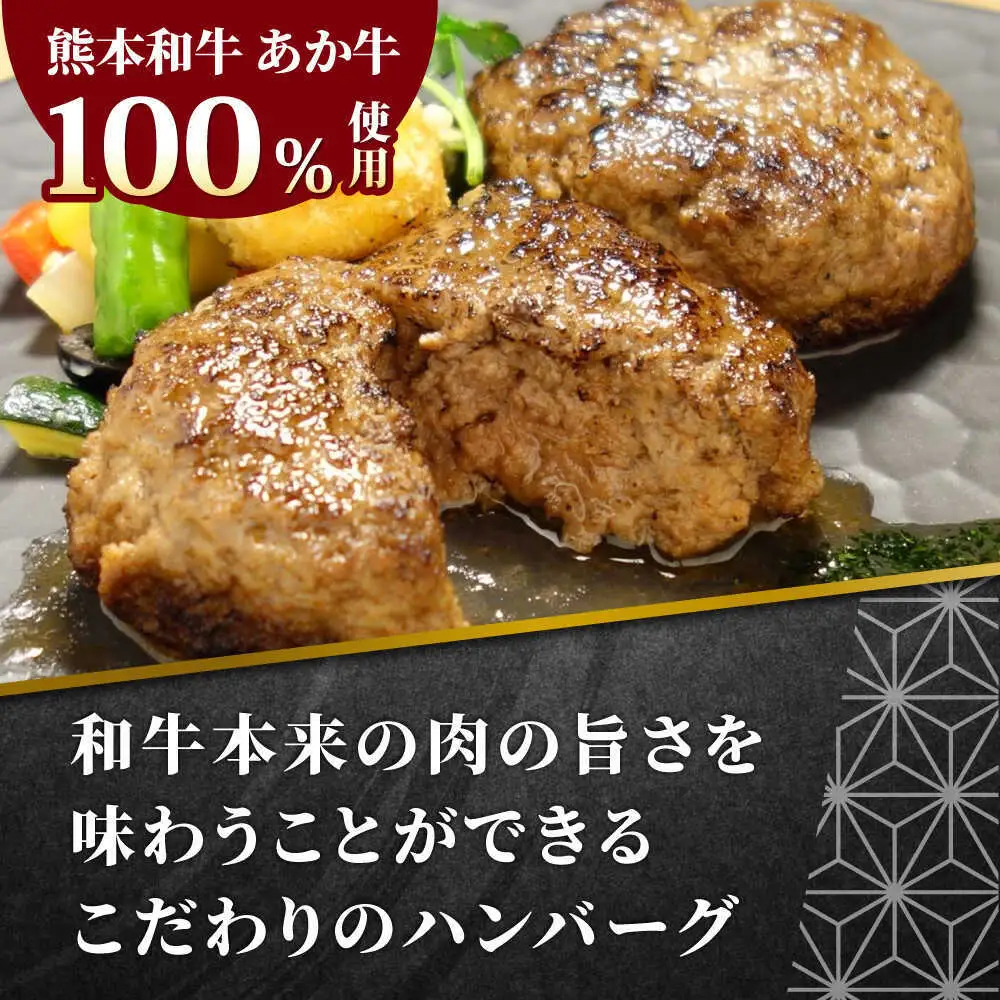 【全6回定期便】あか牛 100％ハンバーグ 約120g×6個 ハンバーグ[AYCQ084]