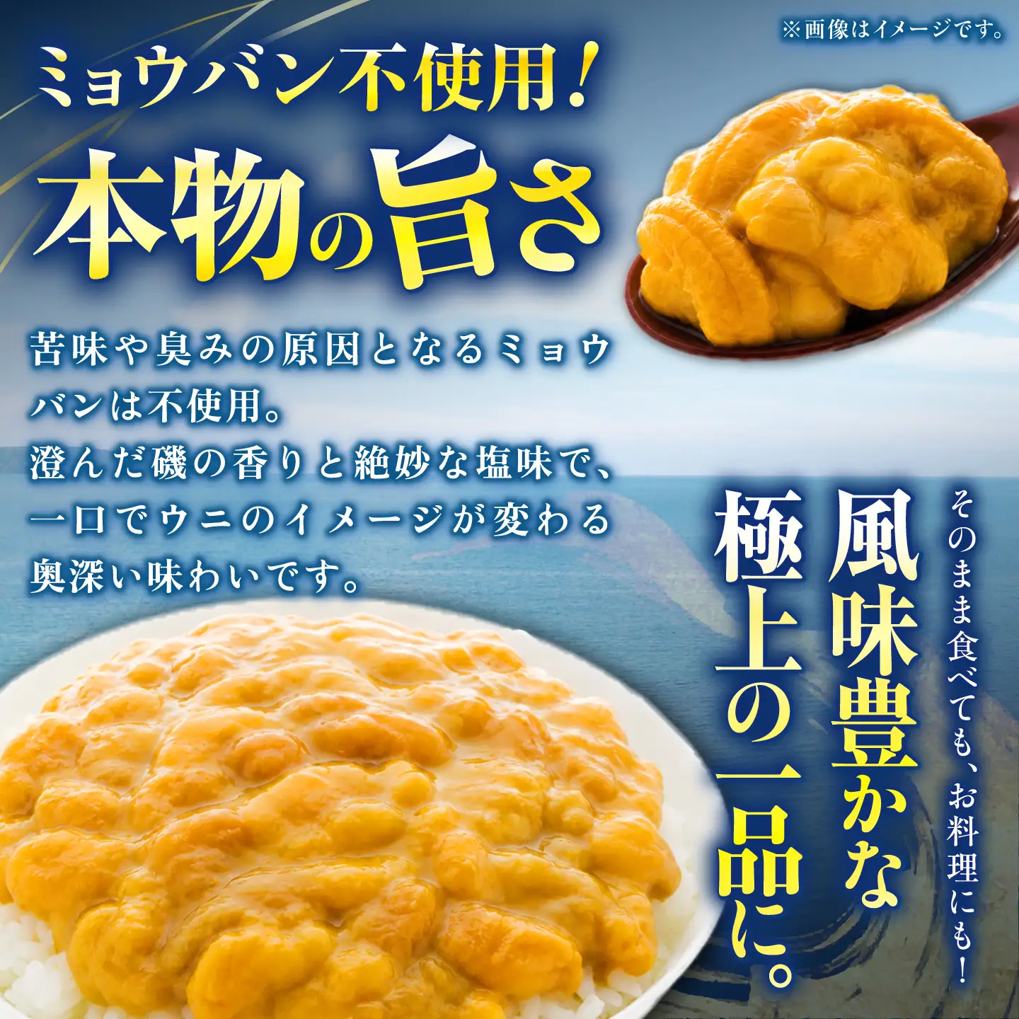 うに 60g 1本 ウニ 壱岐市 JBU022 