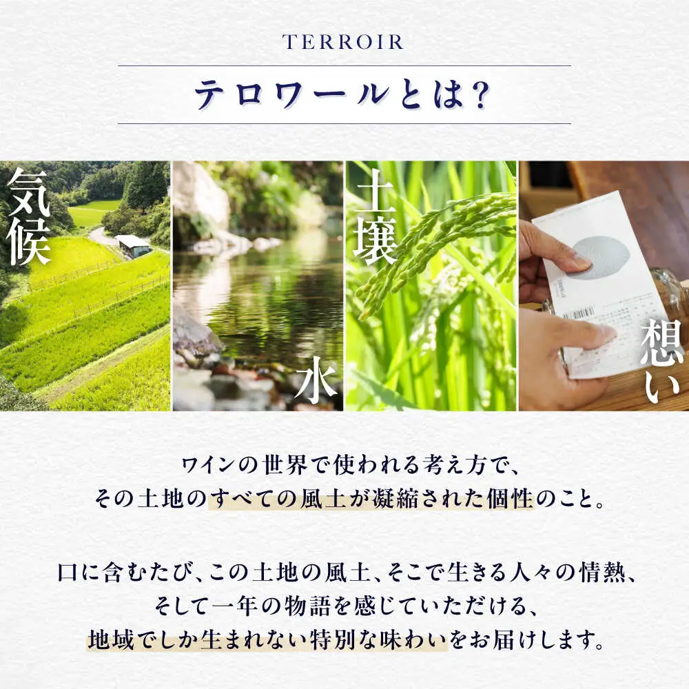 日本酒 神南乃酒(かんなんのさけ) 375ml×2本 日本酒 [AGDU002]