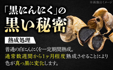 【3回定期便】 国産 黒にんにくゼリー 1か月分(12g×31本) 瑞浪市 / 国産ムラセの熟成黒にんにく 黒にんにく ゼリー 青森県産 ニンニク[AZCO025]