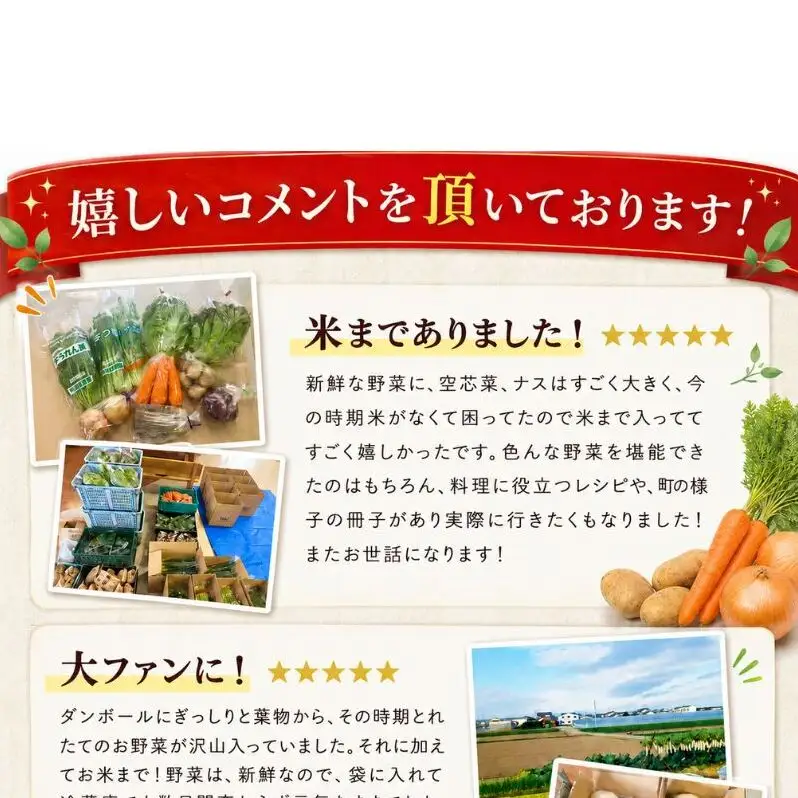 【定期便 年6回】おいしかぁ～便 詰め合わせセット 6ヶ月 お楽しみ ファミリーセット 家族用 野菜 やさい 米 新鮮 新鮮野菜 家庭用 新鮮 福岡県 大刀洗町