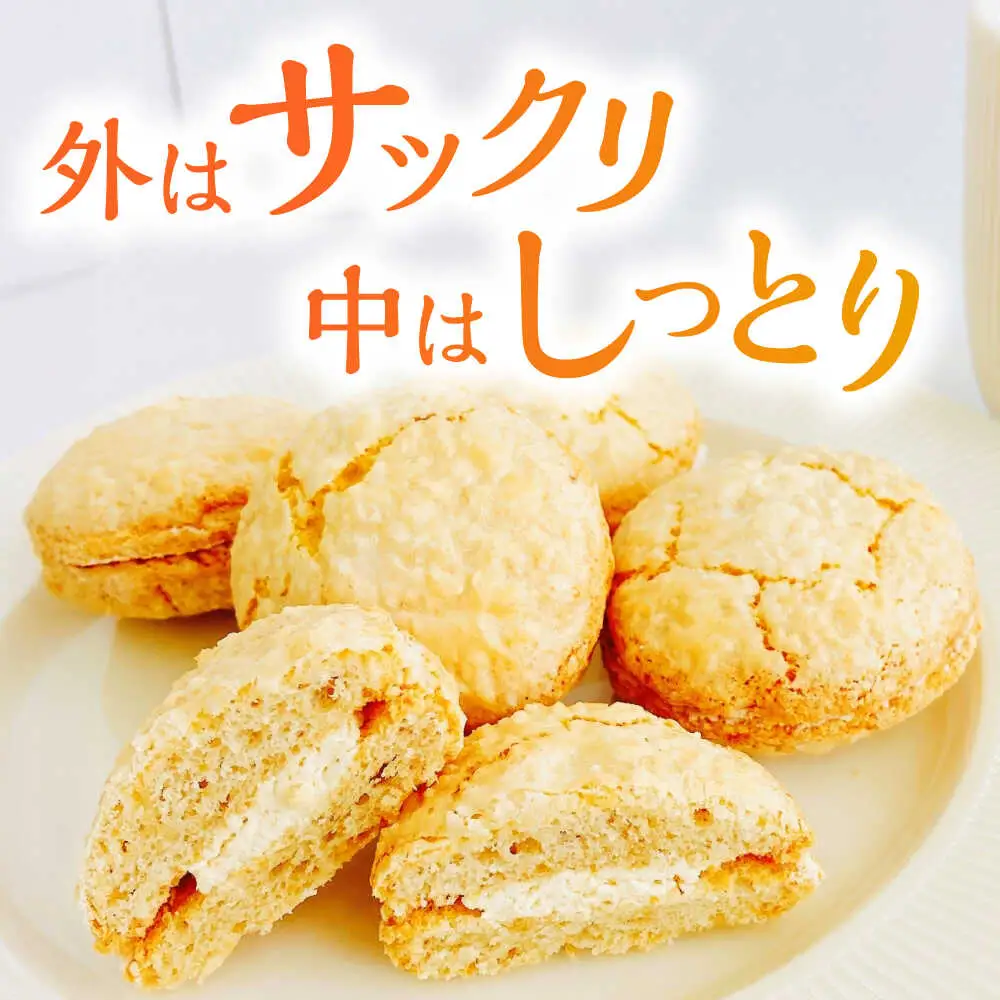 コザハニー L (12個入り) 焼き菓子 クリームサンド ハニー はちみつ コハマのはちみつ 取り寄せ ギフト 沖縄市 / 農業生産法人株式会社小浜養蜂場[BCAQ012]