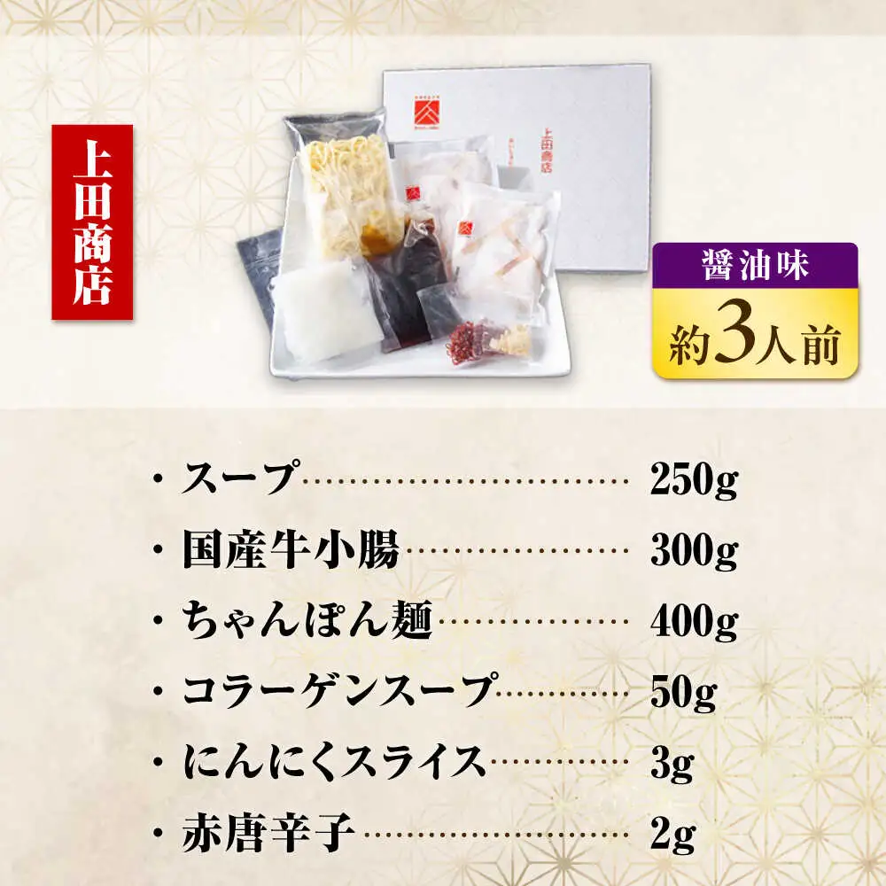 【隔月3回】博多もつ鍋バラエティセット[BGAD073] もつ鍋食べ比べ