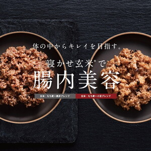 MOCCHIRI BROWN RICE（寝かせ玄米※） 30食小豆ブレンド単品