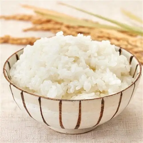 令和7年産米 特別栽培米「ゆうだい21」精米10kg　京都与謝野町　【伊達農園】　数量限定【1684245】