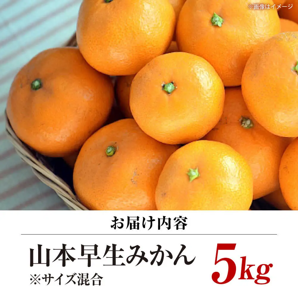 【11月中旬より配送開始】 山本早生 みかん 約5kg（S,Mサイズ混合）＜濱崎ファーム＞ [CGT001] みかん