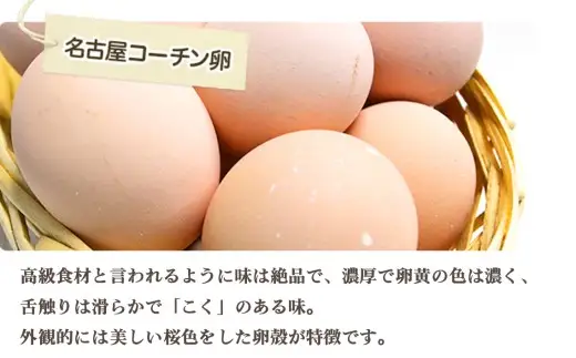 日本を代表する地鶏　名古屋コーチン卵　60個入｜ブランド卵 新鮮 阿久比町