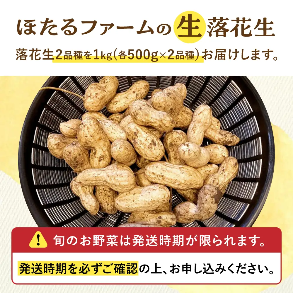 【先行予約】 落花生 2品種 約1kg(500g×2) 多治見市 / ほたるファーム 生落花生 ピーナッツ 豆[TEB013]