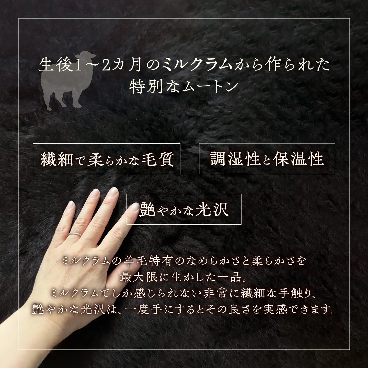 希少 ミルクラム ムートン（天然ブラック）約65cm《足寄町》【石田めん羊牧場】 ラグ マット [BEAD002]