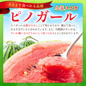 選び抜いた！小玉すいか ピノガール 2L 2玉《先行予約》2027年6月上旬頃から順次発送予定【 配送不可地域：北海道・沖縄・離島】【1246】