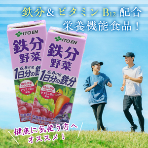 【10営業日以内発送】伊藤園 鉄分野菜 紙パック 200ml 24本 スピード発送 紙パック 野菜ジュース 伊藤園 鉄分野菜 野菜ジュース　013-G-IT013