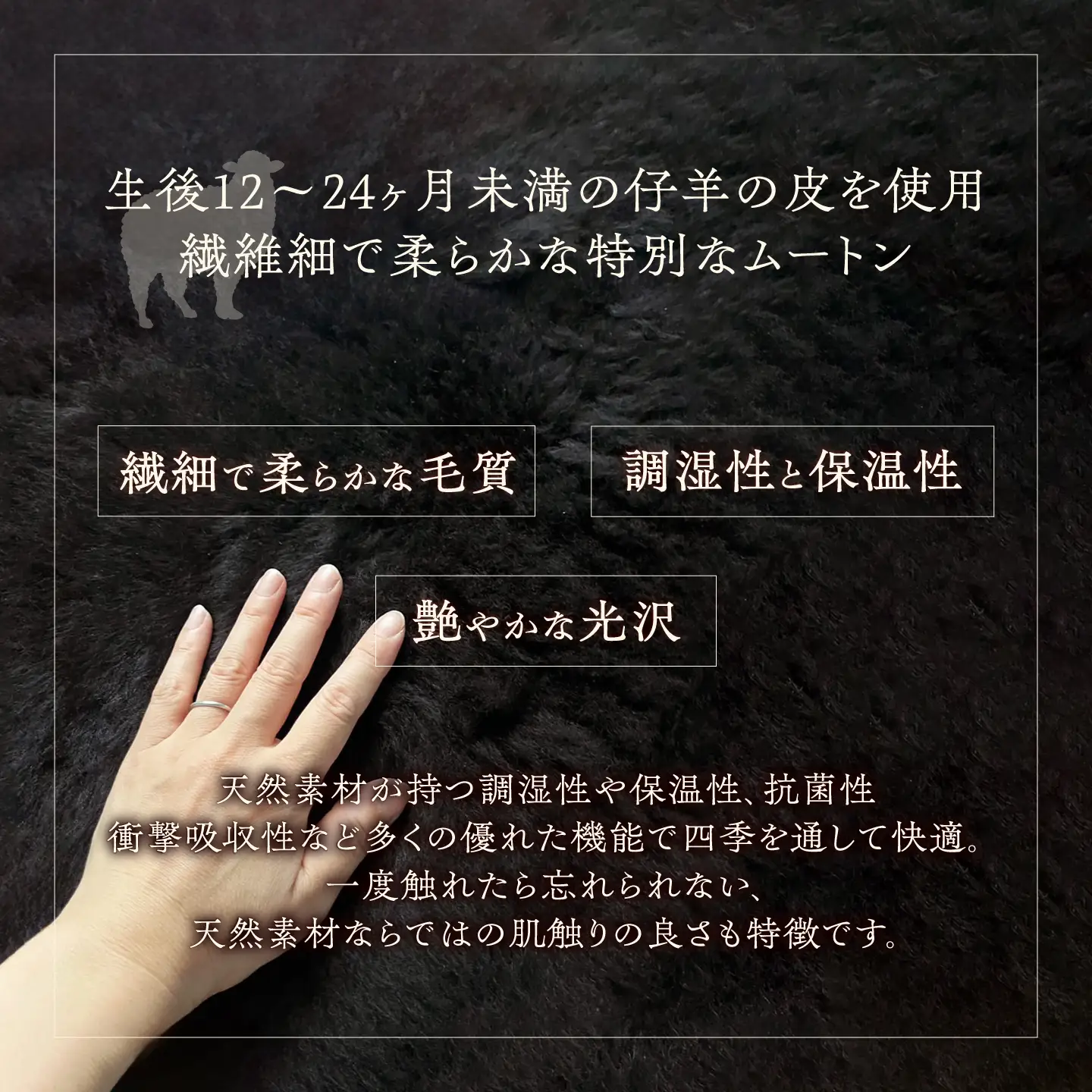 希少 有色仔羊 ムートン（天然ブラウン）約110cm《足寄町》【石田めん羊牧場】 ラグ マット [BEAD004]