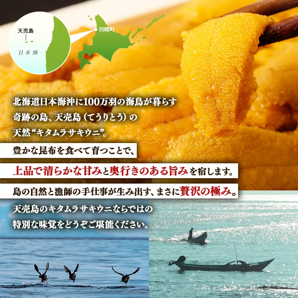 【北海道 天売島産】  天然 キタムラサキうに 塩水パック 100g×1パック【31001】