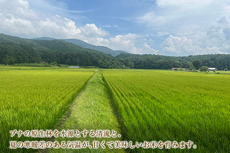 『定期便』全3回 ミルキークイーン 精米 10kg 八幡高原米 風のあしあと ぶなの里 毎月届く定期便 米どころ北広島町のおいしいお米_BU082_002s3