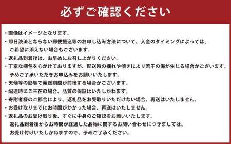 熊本県産 すいか 春のだんらん 5kg以上 スイカ 西瓜 果物 くだもの フルーツ おすすめ ギフト 贈り物 【2027年3月下旬発送開始】