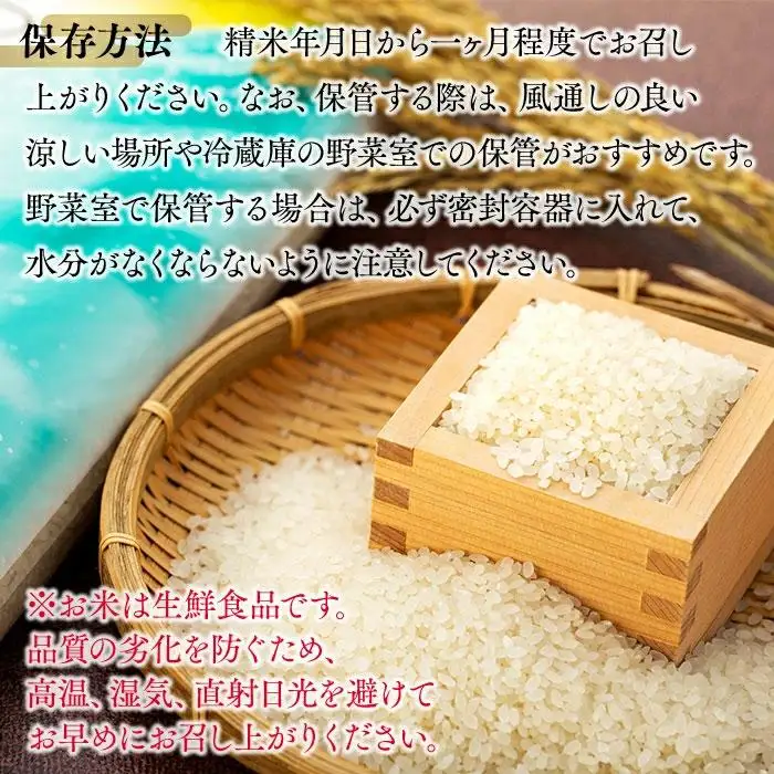 I01-B01-00 【令和７年産】長生産コシヒカリ（白米20kg）