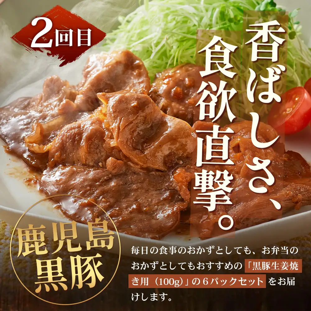 ≪全3回≫ 鹿児島県産 黒豚三昧 定期便 ♪ ＜ 黒豚味噌漬け 生姜焼き 生ハンバーグ ＞ ★☆＼＼ 黒豚ロース味噌漬け バナナマンの早起きせっかくグルメで紹介されました！！／／☆★ 南州農場 かごしま黒豚 NS-29 | 肉 お肉 豚肉 豚 にく ぶた 鹿児島黒豚 ハンバーグ 味噌漬け 生姜焼き おかず ジューシー お弁当 国産 肉定期便 鹿児島県 南大隅町 南州農場