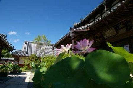 永代供養 (合同墓) | 永代供養墓 掃除 供養 墓じまい サービス 代行 お墓 奈良県 五條市