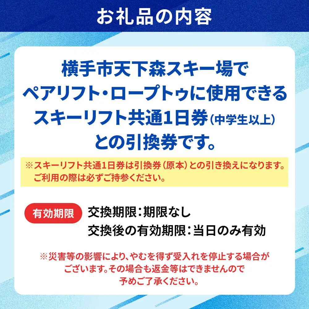 横手市天下森スキー場 スキーリフト共通1日券（一般）引換券 ゆうパケット