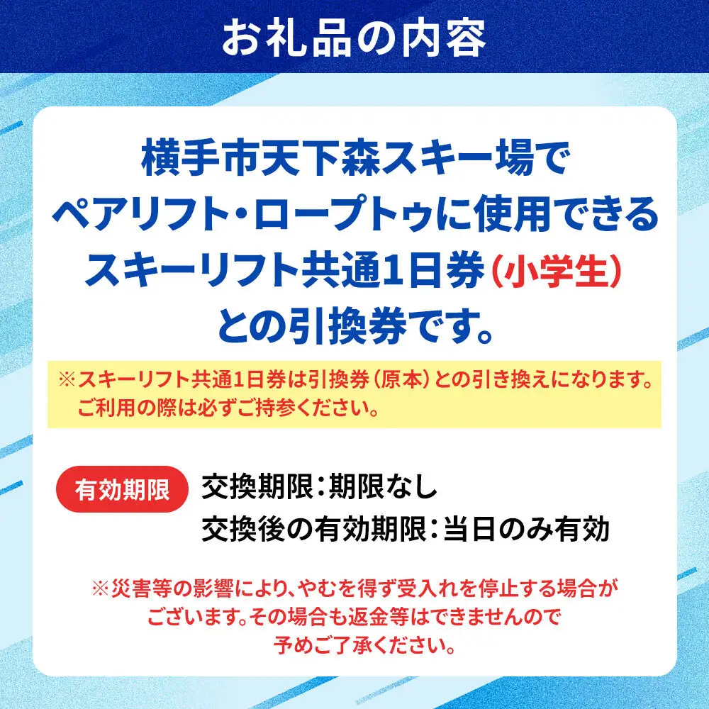 横手市天下森スキー場 スキーリフト共通1日券（小学生）引換券 ゆうパケット