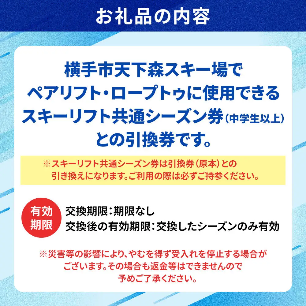 横手市天下森スキー場 スキーリフト共通シーズン券（一般）引換券 ゆうパケット
