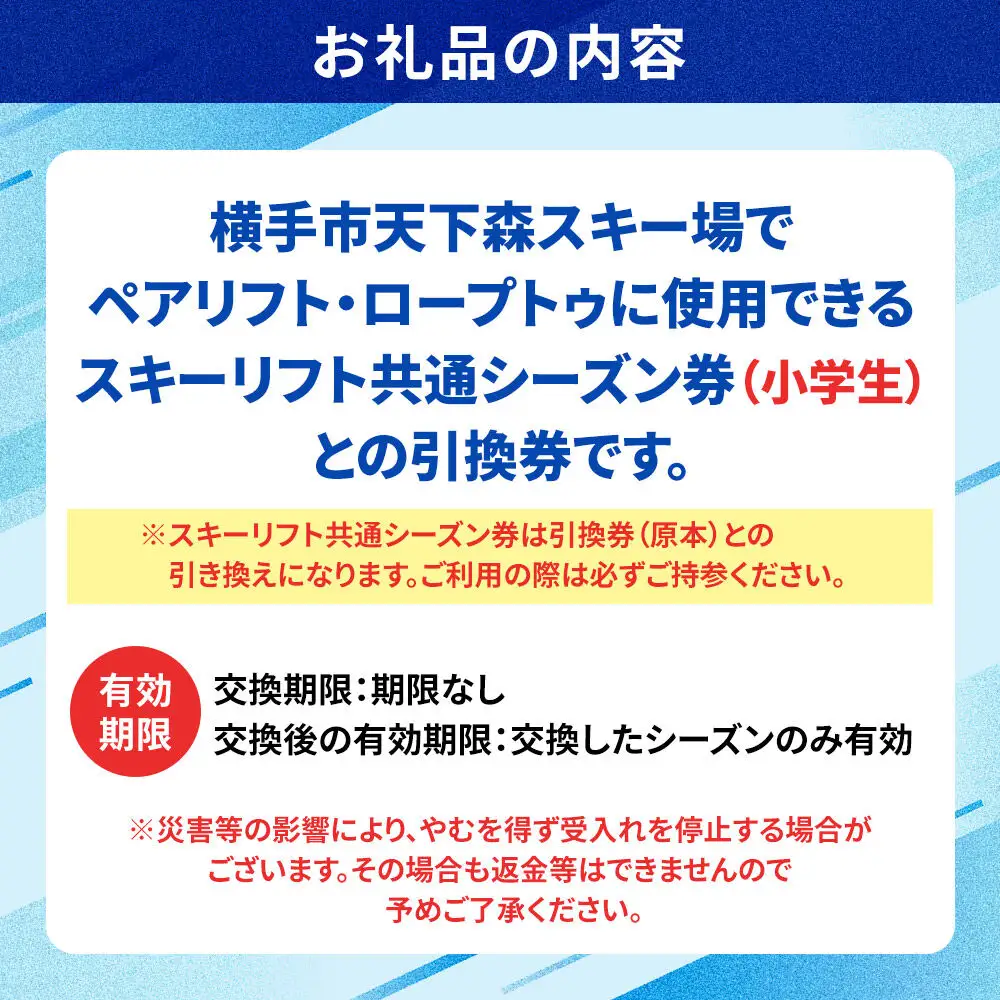 横手市天下森スキー場 スキーリフト共通シーズン券（小学生）引換券 ゆうパケット