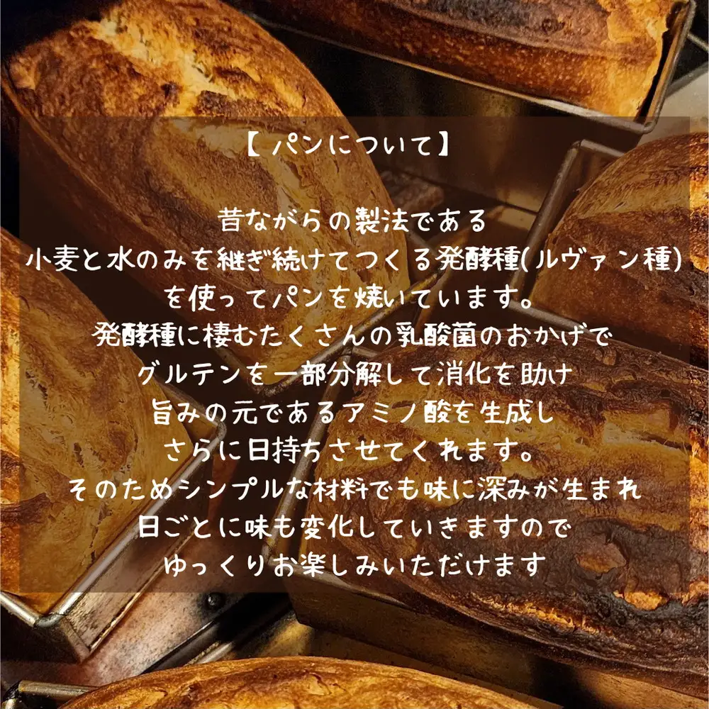 【国産有機小麦と自然栽培小麦・ライ麦使用】素材を味わうパンセット ／ パン 国産小麦 自然栽培 小麦 ライ麦 天然酵母 ルヴァン種 国産素材 自家製粉 自家製ルヴァン種 パンセット 詰め合わせ 食べ比べ お取り寄せグルメ 大阪府 No.348