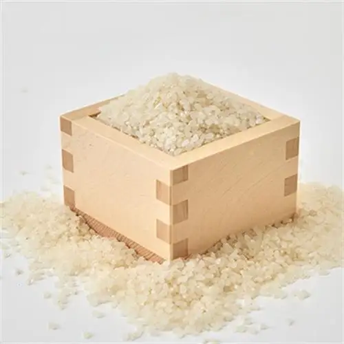 令和7年産米　特別栽培キヌヒカリ「京の豆っこ米」精米5kg　京都与謝野町　【伊達農園】　数量限定【1684174】