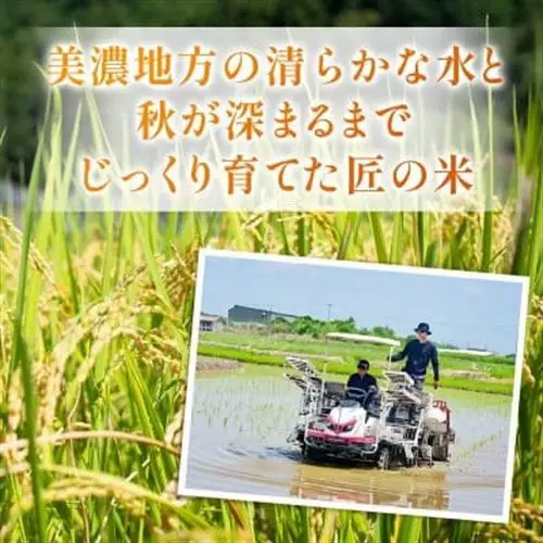 【毎月定期便】岐阜県産ハツシモ(無洗米) 10kg全12回【配送不可地域：離島】【4076358】