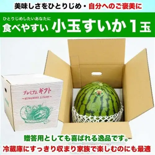 【先行予約】 熊本県産 高糖度! 美味しさひとりじめ! 小玉すいか 1玉入り 約1.5kg以上【1684315】