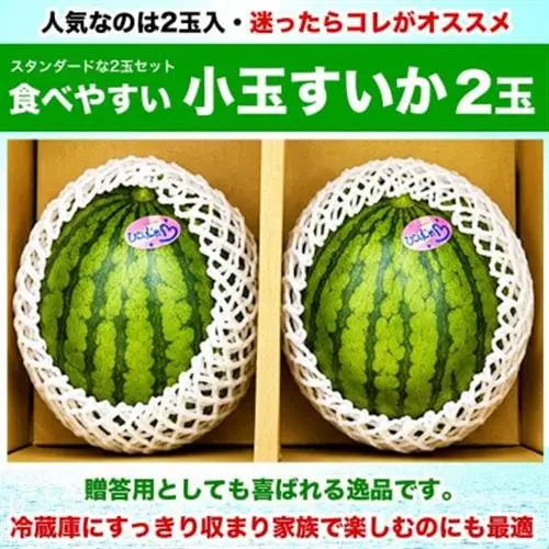 熊本県産 旬 シャリ感 食べきり 小玉すいか スイカ 3Lサイズ 約3kg以上(2玉入り)(益城町)【1684316】