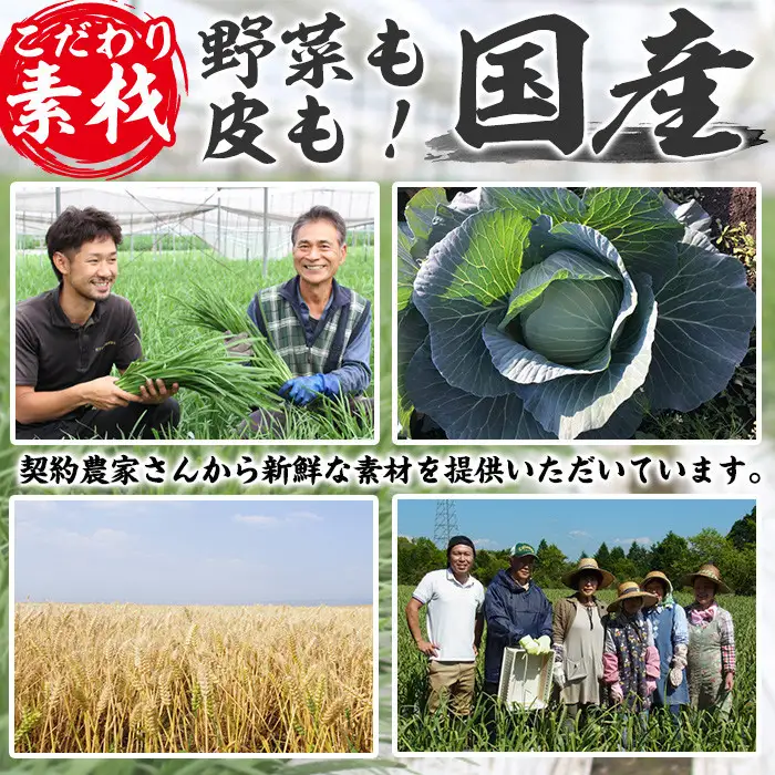 No.1327-n 鹿児島黒豚使用の黒豚生餃子(計36個・12個入り×3パック)国産 九州産 ぎょうざ ギョウザ 冷凍 黒豚 豚肉 お肉 おかず【末永商店】